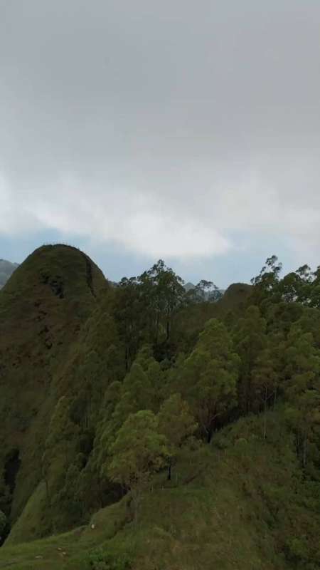 GERAKAN MAMA BAMBU DI FLOBAMORA