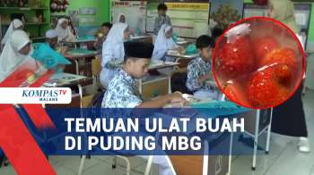 Viral, Temuan Ulat Buah Di Puding MBG Di Kota Malang