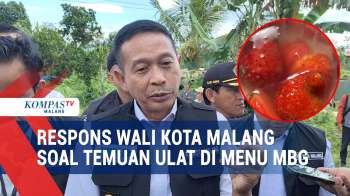 Temuan Ulat Dalam MBG, Wali Kota Malang Akan Panggil Kepala SPPG