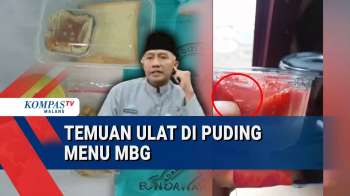 Temuan Ulat Di Puding Menu MBG, Bagaimana Sanksi Ke SPPG?