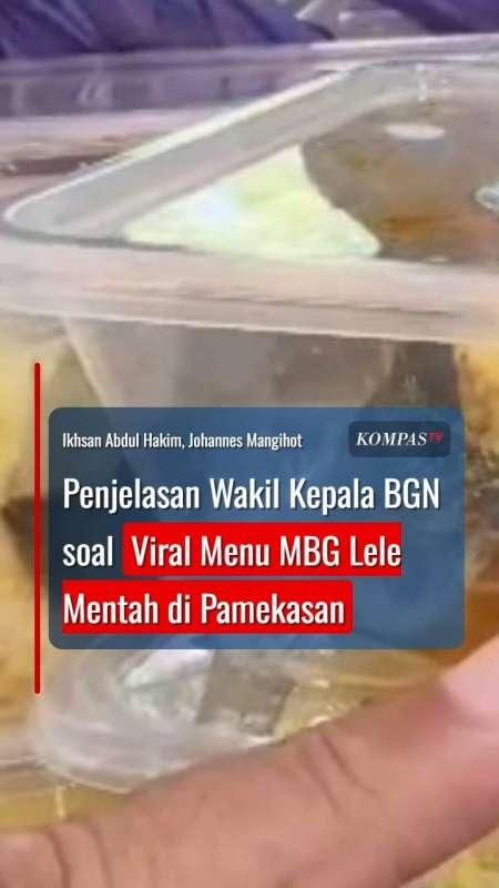 Penjelasan Wakil Kepala BGN soal Viral Menu MBG Lele Mentah di Pamekasan: Itu Marinasi