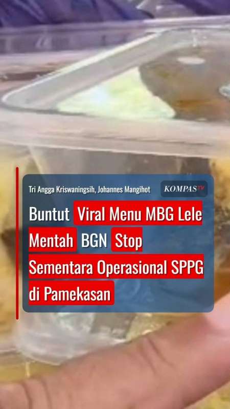 Buntut Viral Menu MBG Lele Mentah, BGN Stop Sementara Operasional SPPG di Pamekasan