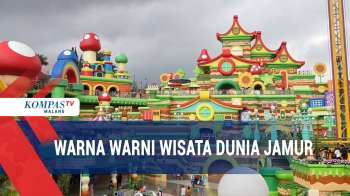 Warna Warni Wisata Dunia Jamur Mikutopia, Seperti Negeri Dongeng
