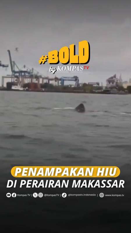 PENAMPAKAN HIU DI PERAIRAN MAKASSAR