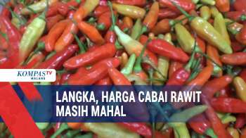 Stok Langka, Harga Cabai Rawit Masih Mahal