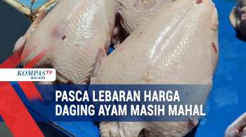 Pasokan Berkurang Jadi Penyebab Harga Daging Ayam Mahal
