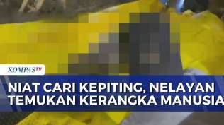 geger-niat-cari-kepiting-seorang-nelayan-di-jambi-temukan-kerangka-manusia-berut