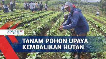 Tanam Pohon Di Kawasan Hutan Coban Talun, Upaya Kembalikan Hutan