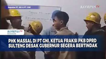 PHK Massal Di PT GNI, Ketua Fraksi PKB DPRD Sulteng Desak Gubernur Segera Bertindak