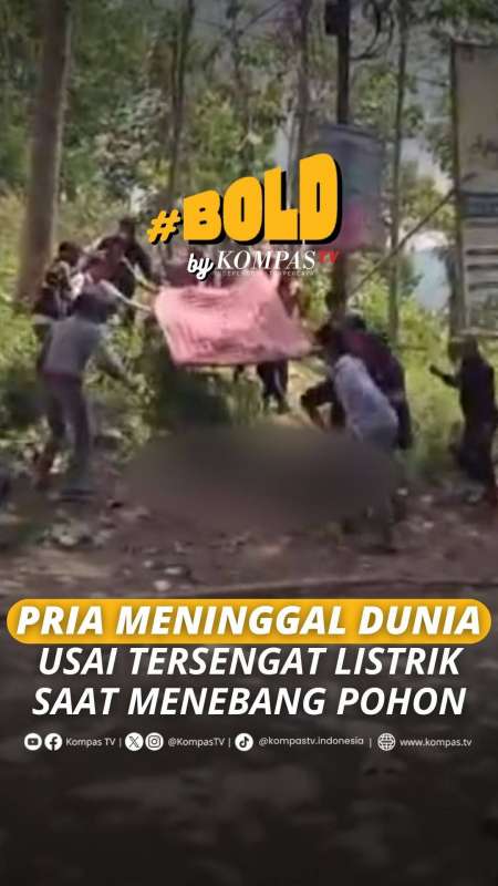 PRIA MENINGGAL DUNIA USAI TERSENGAT LISTRIK SAAT MENEBANG POHON