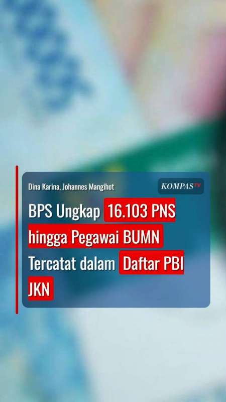 BPS Ungkap 16.103 PNS hingga Pegawai BUMN Tercatat dalam Daftar PBI JKN