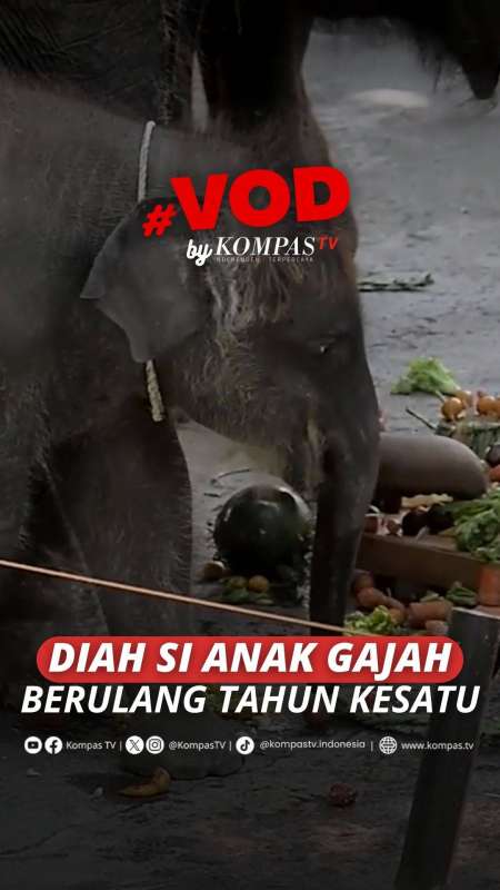 DIAH SI ANAK GAJAH BERULANG TAHUN KESATU