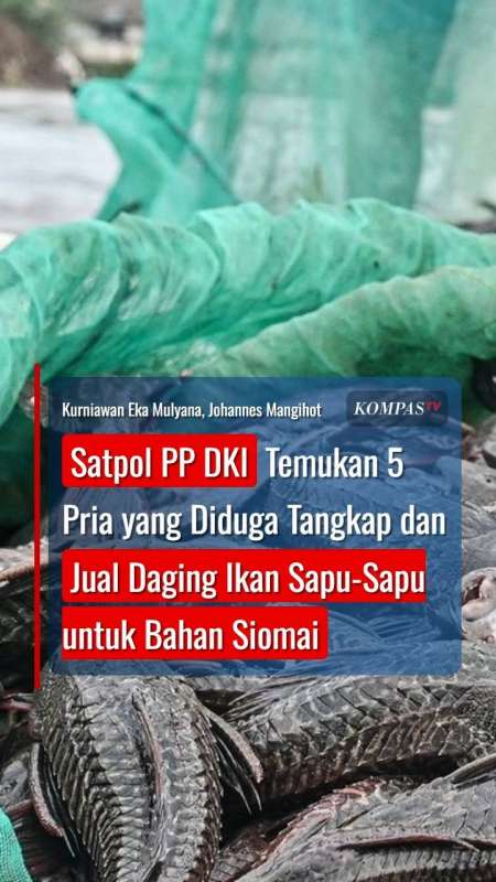 Satpol PP DKI Temukan 5 Pria yang Diduga Jual Daging Ikan Sapu-Sapu untuk Bahan Siomai