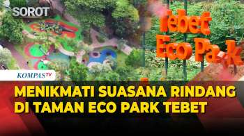 Mengunjungi Taman Eco Park Tebet! Rindang Pepohonan & Konsep Ramah Lingkungan
