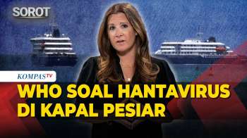 3 Orang Meninggal Di Kapal Pesiar, WHO Selidiki Dugaan Wabah Hantavirus