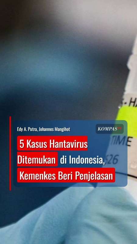 5 Kasus Hantavirus Ditemukan Di Indonesia, Kemenkes Beri Penjelasan