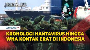 Kronologi Kasus Hantavirus Klaster MV Hondius Hingga WNA Di Indonesia Dirawat