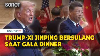 Potret Trump Dan Xi Jinping Bersulang Saat Jamuan Makan Malam Di China