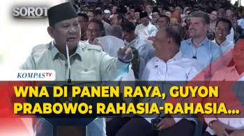 Pecah Tawa! Presiden Prabowo Kaget Ada WNA Saat Panen Raya Jagung: Jangan Diterjemahin