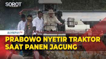 Gaya Prabowo Kendarai Traktor Combine Corn Harvester Saat Panen Jagung Di Tuban