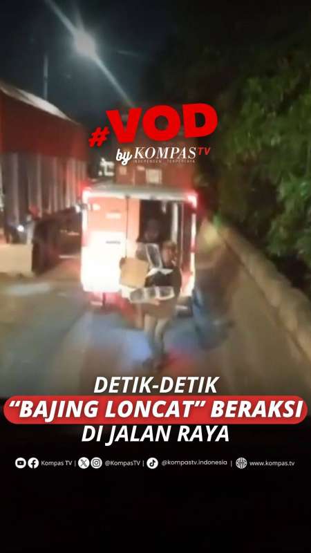 DETIK-DETIK BAJING LONCAT BERAKSI DI JALAN RAYA