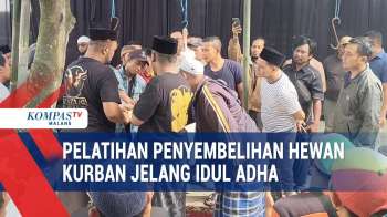 Melihat Pelatihan Penyembelihan Hewan Kurban Sesuai Syariat Islam
