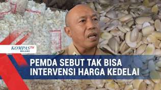 harga-kedelai-naik-pemerintah-daerah-sebut-tak-bisa-intervensi