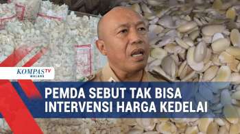 Harga Kedelai Naik, Pemerintah Daerah Sebut Tak Bisa Intervensi