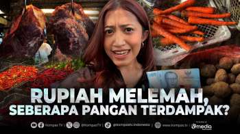 Rupiah Terus Melemah! Ini Fakta Polemik Dolar AS Ke Kenaikan Harga Daging Sapi Hingga Sayur