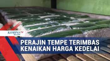 Harga Kedelai Mahal, Kondisi Perajin Tempe Semakin Sulit
