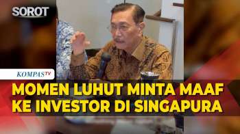 Momen Luhut Minta Maaf Ke Investor Soal Dampak Situasi Ekonomi Global