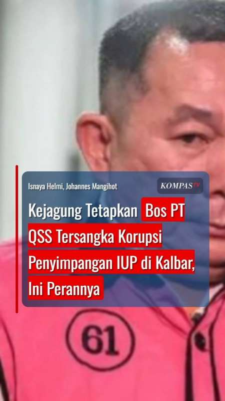 Kejagung Tetapkan Bos PT QSS Tersangka Korupsi Penyimpangan IUP di Kalbar, Ini Perannya