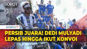 Naik Motor! Dedi Mulyadi Lepas Hingga Ikut Konvoi Persib Bandung Juara Super League 2026