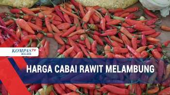 Pasokan Berkurang Harga Cabai Mahal