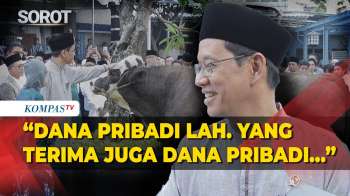 Menkeu Purbaya Kurban Sapi Jumbo, Beli Pakai Tabungan Haji Dan Bonus