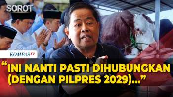 Golkar Minta Sapi Kurban Presiden Prabowo Tak Dikaitkan Dengan Pilpres 2029