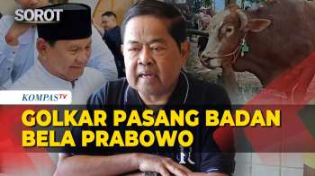 Heboh APBN Rp100 Miliar Beli Sapi Kurban Presiden Prabowo, Golkar: Semua Kepentingan Rakyat