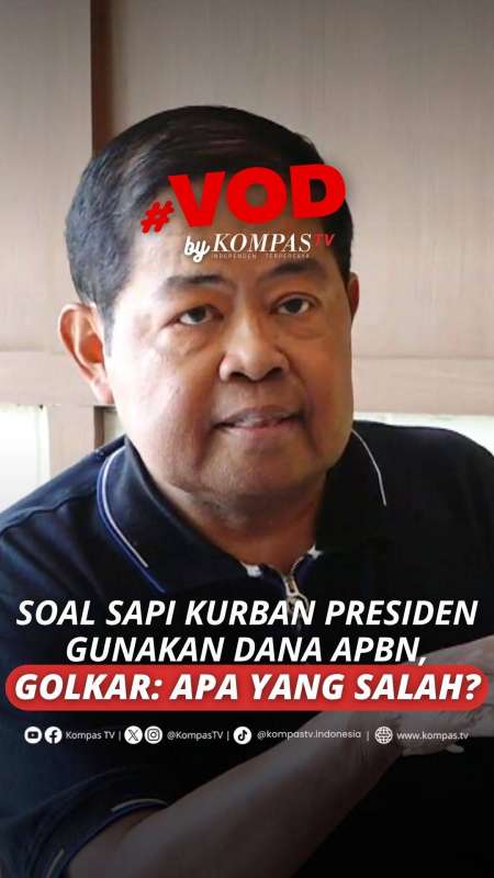 SOAL SAPI KURBAN PRESIDEN GUNAKAN DANA APBN, GOLKAR: APA YANG SALAH?