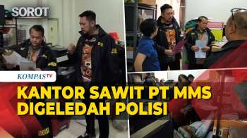 Detik-Detik! Bareskrim Polri Geledah Kantor Sawit PT MMS, Dokumen & CPU Disita!