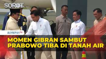 Momen Gibran Sambut Prabowo Tiba di Tanah Air Usai Kunjungan Kenegaraan di Prancis