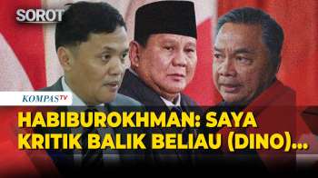 Balas Kritik Dino Patti Djalal Ke Presiden Prabowo, Habiburokhman: Ada Etika