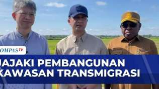 dorong-ekosistem-menteri-transmigrasi-kunjungi-merauke-bersama-dubes-tiongkok-jmp