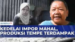 perajin-tempe-tertekan-harga-kedelai-tembus-rp11-300-per-kilogram-sapa-siang