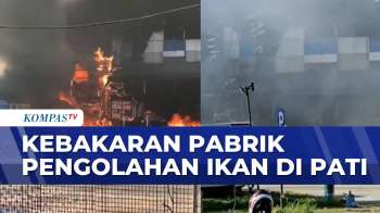 Diduga Korsleting Listrik, Pabrik Pengolahan Ikan di Pati  Kebakaran | KOMPAS PETANG