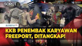 Satgas Damai Cartenz Tangkap Anggota KKB, Terlibat Penembakan Karyawan Freeport Di Mimika