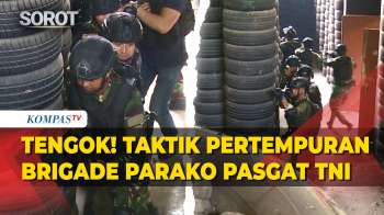 Melihat Taktik Pertempuran Jarak Dekat Prajurit Brigade Parako Pasgat TNI