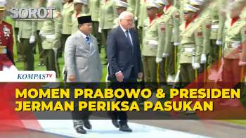 Momen Presiden Prabowo Dan Presiden Jerman Steinmeier Periksa Pasukan Di Istana