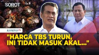 Mentan Amran Ungkap Arahan Presiden Prabowo soal Turunnya Harga TBS Sawit