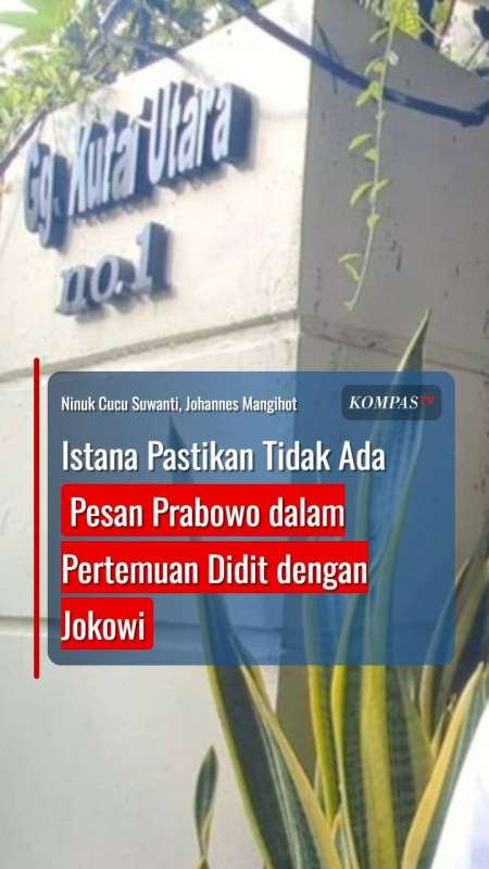 Istana Pastikan Tidak Ada Pesan Prabowo dalam Pertemuan Didit dengan Jokowi