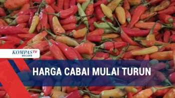 Sempat Melonjak, Harga Cabai Kini Turun